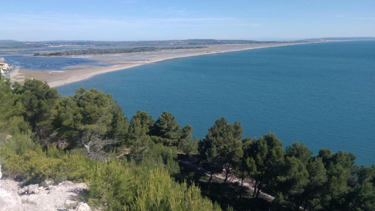 Mas De La Riviere Villa Villelongue-de-la-Salanque Exterior foto